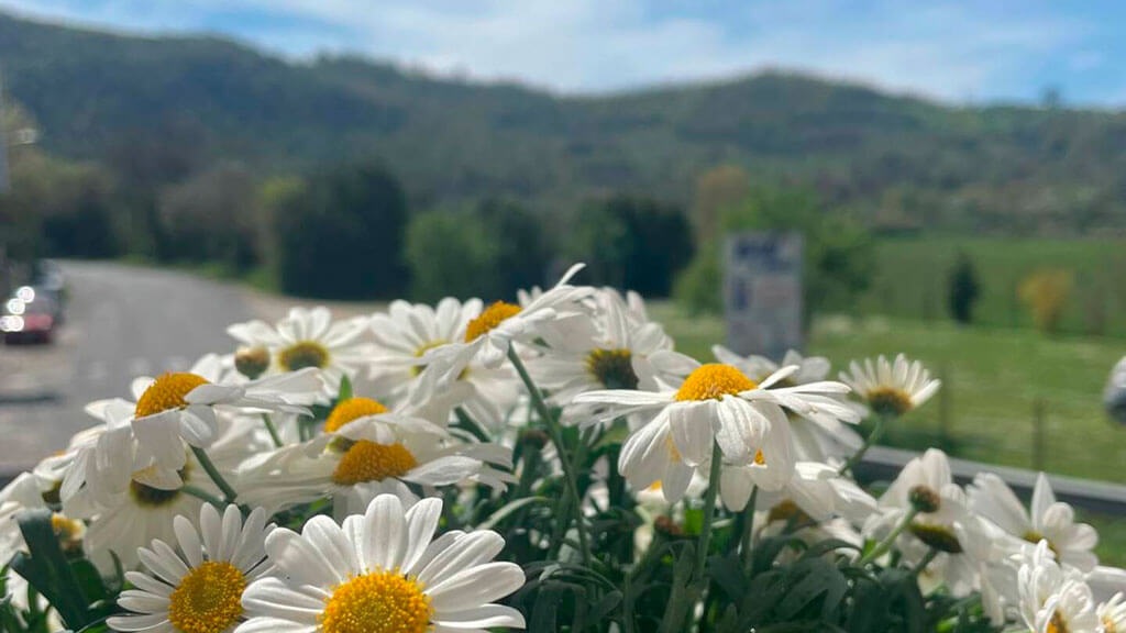 Appartamento sul fiume La Finestra sul Farfa Castelnuovo di Farfa - GeoSabina