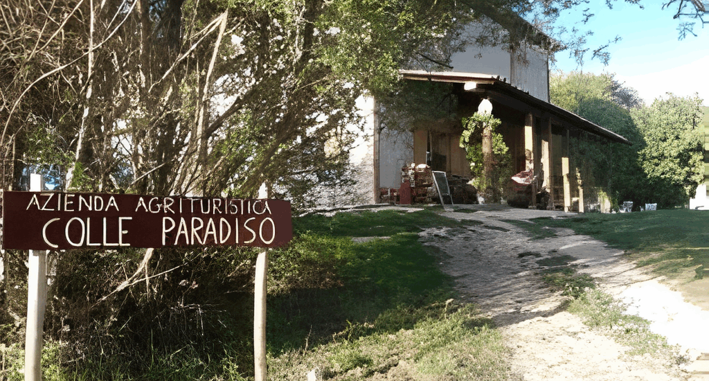 Azienda agrituristica biologica ed oliveti Colle Paradiso Mompeo - GeoSabina